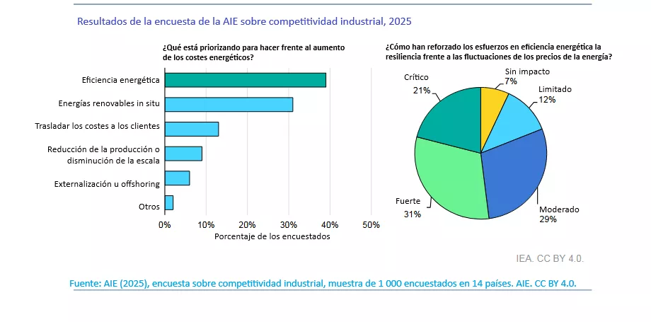ES-IEA-energy-efficiency-ankieta-2025